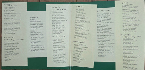 Courtney Barnett : Creature Of Habit (LP, Album, Ltd, Num, Tra)