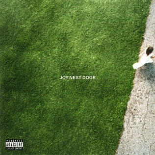 The Maine : Joy Next Door (LP, Fro)
