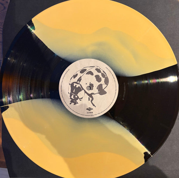 Noah Kahan : The Great Divide (2xLP, Album, Hea)